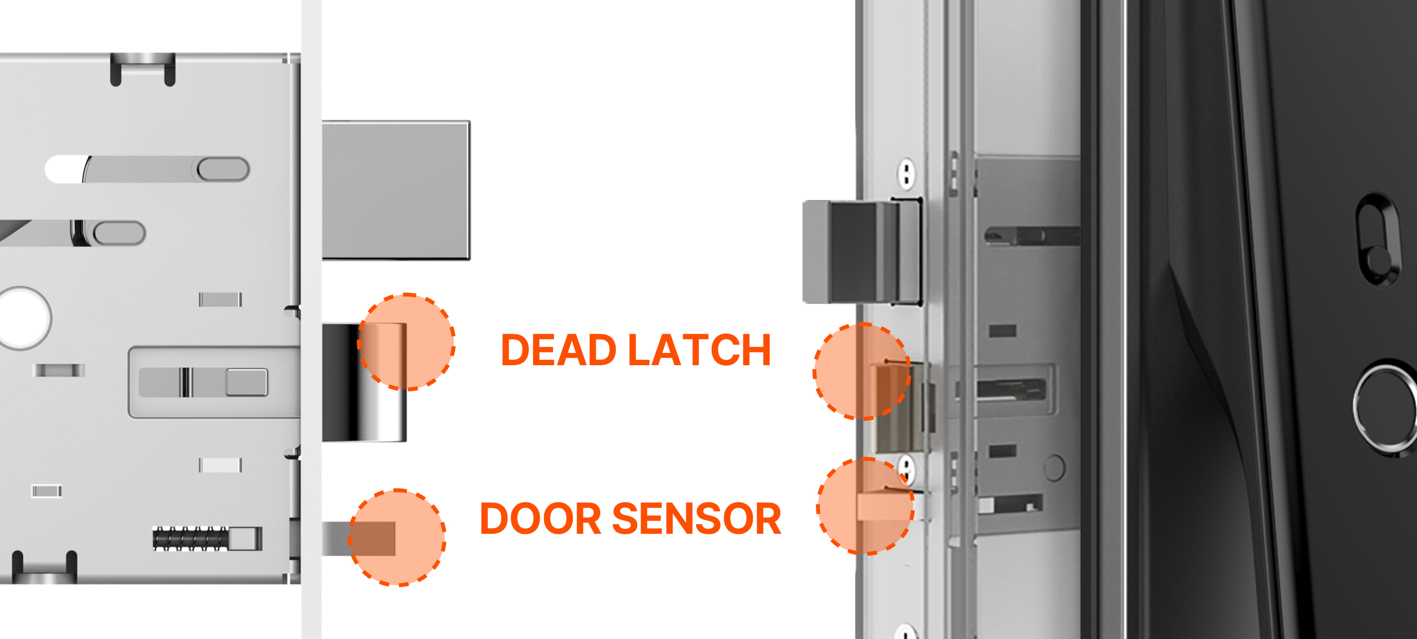 DEAD LATCH & DOOR SENSOR